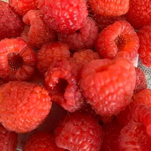 Meet your Posher, Léa